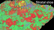 Seismic Interpretation of Shales