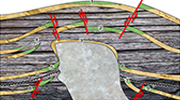 Hydrocarbon Traps