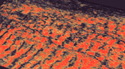 3D and 4D Seismic Processing, Interpretation and Visualization