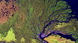 Habitat of Hydrocarbons in Sedimentary Basins