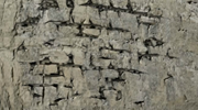 Porosity Evolution in Carbonate Rocks