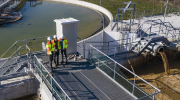 Pollution Control in Plants