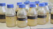 Obtaining Samples