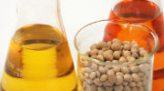 Solids and Liquids