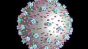 Bloodborne Pathogens