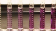 UV Visible Spectroscopy