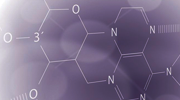 Typical Process Reactions, Part 1