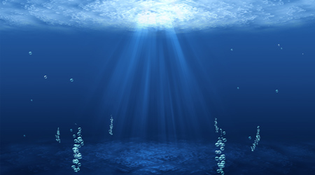 Subsea Inspection
