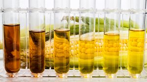 Renewable Fuels Scheduling