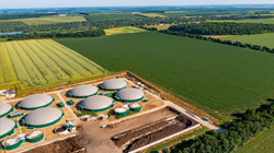 Fundamentals of Bioenergy