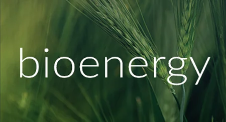 Bioenergy
